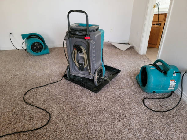 Best Basement water damage restoration  in Dilworth, MN