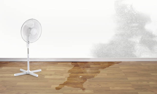 Best Commercial water damage restoration  in Dilworth, MN