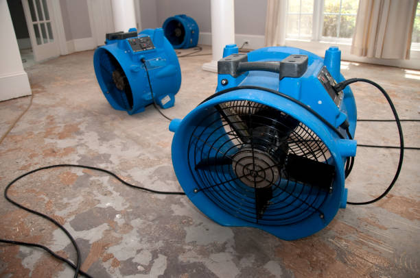 Best Water damage restoration near me  in Dilworth, MN