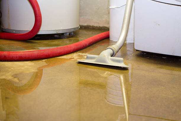 24/7 water damage repair in MN