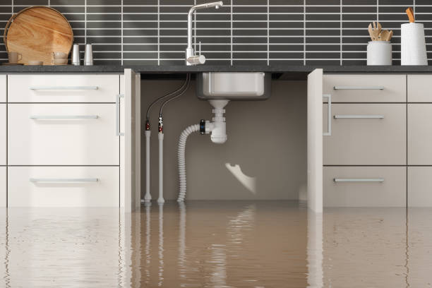 Best Residential water damage restoration  in Dilworth, MN