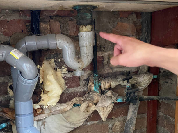 Best Professional water damage repair  in Dilworth, MN