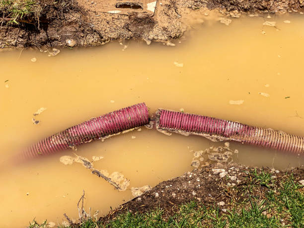 Best Flood damage cleanup  in Dilworth, MN