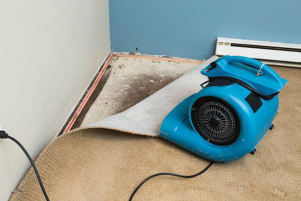 Best Water damage restoration services  in Dilworth, MN